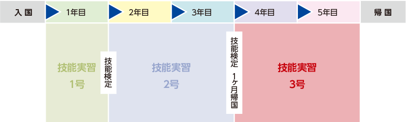図